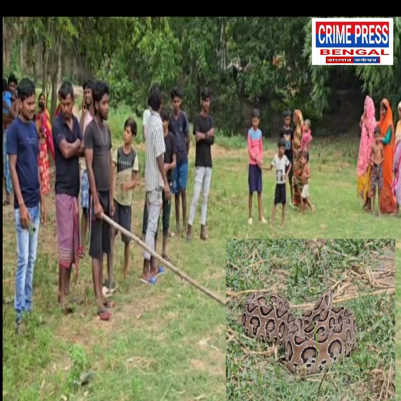forest-workers-rescue-chandrabora-in-gangarampur